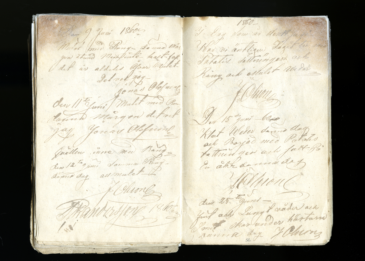 Dagböcker och andra anteckningar förda av storbonden och bössmeden Jonas Olsson (1832-1895) i Fågelsjö, Los mellan åren 1851 och 1892. Dagböckerna berör vardagens arbete, händelser i familjen och byn, förtretligheter, glädjeämnen och sorg. Böckerna förda i varierande frekvens med både dagliga och strödda anteckningar. Hela luckor år 1862-63, 1870-78, 1880-83 samt 1885-56. Dagboken förd i böcker med blandat innehåll, där dagboksanteckningarna är instoppade. Jonas Olssons dagboksanteckningar finns även transkriberade och publicerade i boken "Min hand är icke begåfvad att föra en skikliger penna", 2009.
