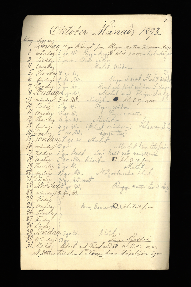 Dagböcker och andra anteckningar förda av storbonden och bössmeden Jonas Olsson (1832-1895) i Fågelsjö, Los mellan åren 1851 och 1892. Dagböckerna berör vardagens arbete, händelser i familjen och byn, förtretligheter, glädjeämnen och sorg. Böckerna förda i varierande frekvens med både dagliga och strödda anteckningar. Hela luckor år 1862-63, 1870-78, 1880-83 samt 1885-56. Dagboken förd i böcker med blandat innehåll, där dagboksanteckningarna är instoppade. Jonas Olssons dagboksanteckningar finns även transkriberade och publicerade i boken "Min hand är icke begåfvad att föra en skikliger penna", 2009.
