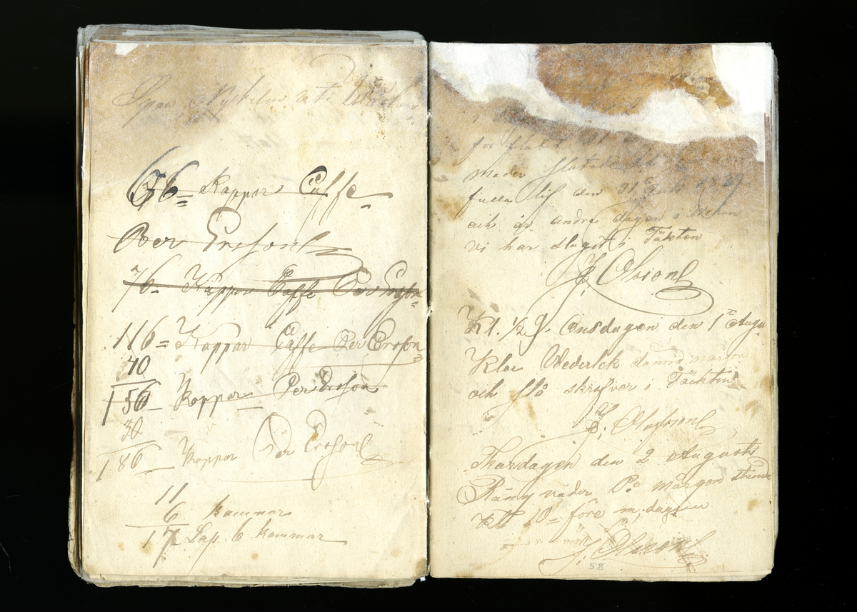 Dagböcker och andra anteckningar förda av storbonden och bössmeden Jonas Olsson (1832-1895) i Fågelsjö, Los mellan åren 1851 och 1892. Dagböckerna berör vardagens arbete, händelser i familjen och byn, förtretligheter, glädjeämnen och sorg. Böckerna förda i varierande frekvens med både dagliga och strödda anteckningar. Hela luckor år 1862-63, 1870-78, 1880-83 samt 1885-56. Dagboken förd i böcker med blandat innehåll, där dagboksanteckningarna är instoppade. Jonas Olssons dagboksanteckningar finns även transkriberade och publicerade i boken "Min hand är icke begåfvad att föra en skikliger penna", 2009.
