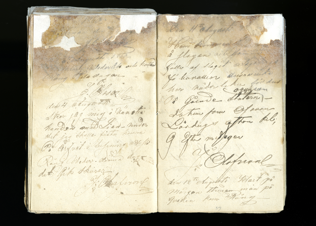 Dagböcker och andra anteckningar förda av storbonden och bössmeden Jonas Olsson (1832-1895) i Fågelsjö, Los mellan åren 1851 och 1892. Dagböckerna berör vardagens arbete, händelser i familjen och byn, förtretligheter, glädjeämnen och sorg. Böckerna förda i varierande frekvens med både dagliga och strödda anteckningar. Hela luckor år 1862-63, 1870-78, 1880-83 samt 1885-56. Dagboken förd i böcker med blandat innehåll, där dagboksanteckningarna är instoppade. Jonas Olssons dagboksanteckningar finns även transkriberade och publicerade i boken "Min hand är icke begåfvad att föra en skikliger penna", 2009.
