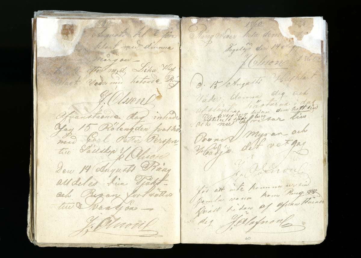 Dagböcker och andra anteckningar förda av storbonden och bössmeden Jonas Olsson (1832-1895) i Fågelsjö, Los mellan åren 1851 och 1892. Dagböckerna berör vardagens arbete, händelser i familjen och byn, förtretligheter, glädjeämnen och sorg. Böckerna förda i varierande frekvens med både dagliga och strödda anteckningar. Hela luckor år 1862-63, 1870-78, 1880-83 samt 1885-56. Dagboken förd i böcker med blandat innehåll, där dagboksanteckningarna är instoppade. Jonas Olssons dagboksanteckningar finns även transkriberade och publicerade i boken "Min hand är icke begåfvad att föra en skikliger penna", 2009.
