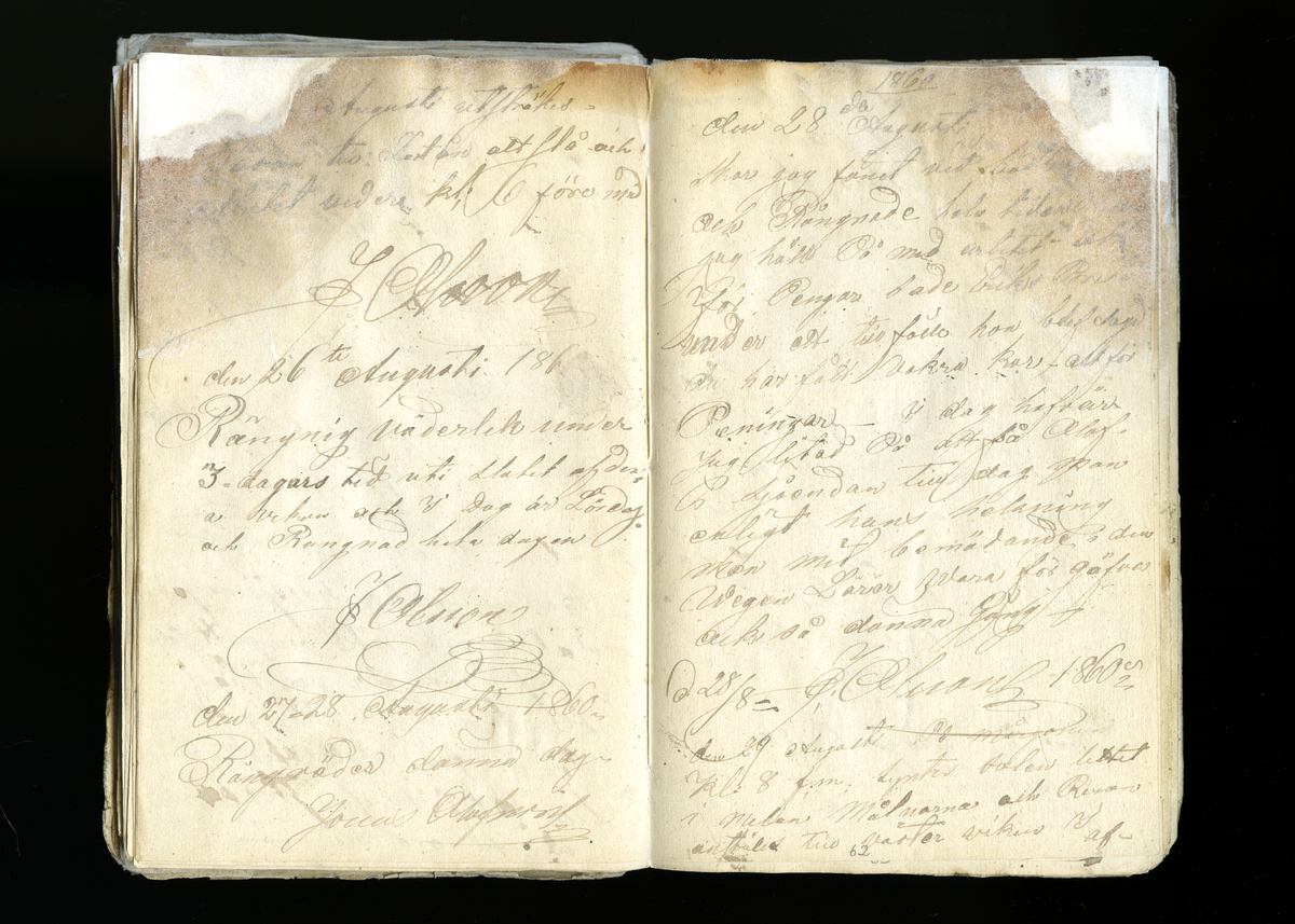 Dagböcker och andra anteckningar förda av storbonden och bössmeden Jonas Olsson (1832-1895) i Fågelsjö, Los mellan åren 1851 och 1892. Dagböckerna berör vardagens arbete, händelser i familjen och byn, förtretligheter, glädjeämnen och sorg. Böckerna förda i varierande frekvens med både dagliga och strödda anteckningar. Hela luckor år 1862-63, 1870-78, 1880-83 samt 1885-56. Dagboken förd i böcker med blandat innehåll, där dagboksanteckningarna är instoppade. Jonas Olssons dagboksanteckningar finns även transkriberade och publicerade i boken "Min hand är icke begåfvad att föra en skikliger penna", 2009.
