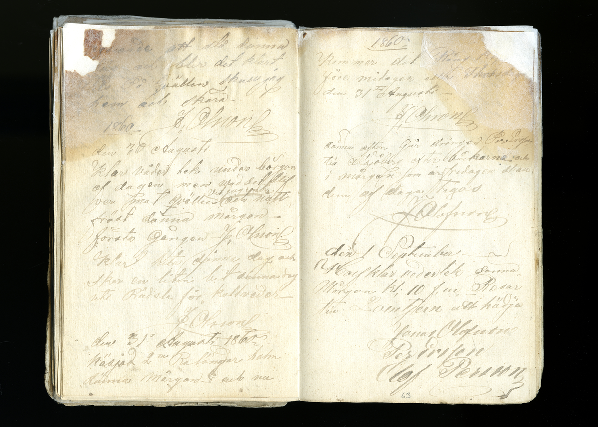 Dagböcker och andra anteckningar förda av storbonden och bössmeden Jonas Olsson (1832-1895) i Fågelsjö, Los mellan åren 1851 och 1892. Dagböckerna berör vardagens arbete, händelser i familjen och byn, förtretligheter, glädjeämnen och sorg. Böckerna förda i varierande frekvens med både dagliga och strödda anteckningar. Hela luckor år 1862-63, 1870-78, 1880-83 samt 1885-56. Dagboken förd i böcker med blandat innehåll, där dagboksanteckningarna är instoppade. Jonas Olssons dagboksanteckningar finns även transkriberade och publicerade i boken "Min hand är icke begåfvad att föra en skikliger penna", 2009.
