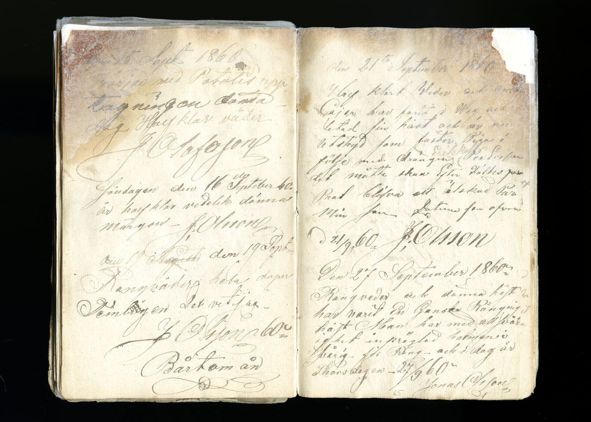 Dagböcker och andra anteckningar förda av storbonden och bössmeden Jonas Olsson (1832-1895) i Fågelsjö, Los mellan åren 1851 och 1892. Dagböckerna berör vardagens arbete, händelser i familjen och byn, förtretligheter, glädjeämnen och sorg. Böckerna förda i varierande frekvens med både dagliga och strödda anteckningar. Hela luckor år 1862-63, 1870-78, 1880-83 samt 1885-56. Dagboken förd i böcker med blandat innehåll, där dagboksanteckningarna är instoppade. Jonas Olssons dagboksanteckningar finns även transkriberade och publicerade i boken "Min hand är icke begåfvad att föra en skikliger penna", 2009.
