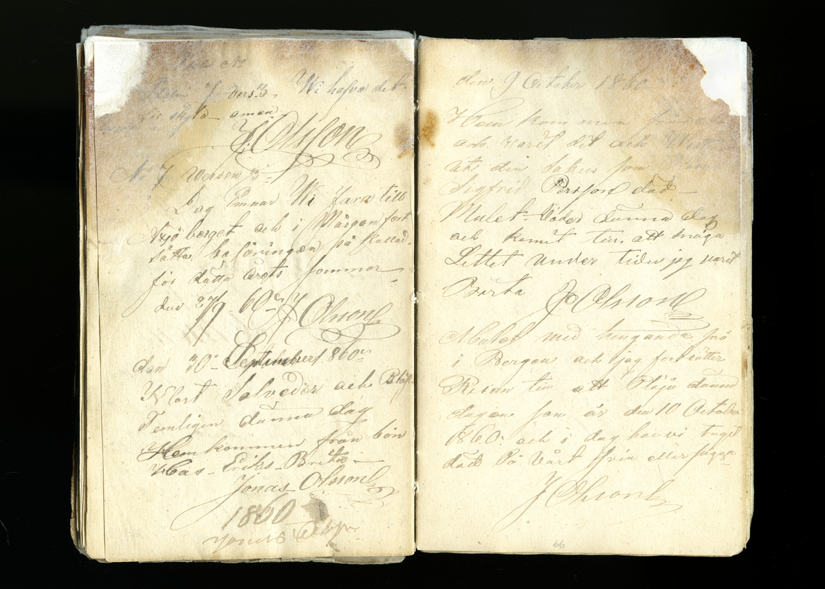 Dagböcker och andra anteckningar förda av storbonden och bössmeden Jonas Olsson (1832-1895) i Fågelsjö, Los mellan åren 1851 och 1892. Dagböckerna berör vardagens arbete, händelser i familjen och byn, förtretligheter, glädjeämnen och sorg. Böckerna förda i varierande frekvens med både dagliga och strödda anteckningar. Hela luckor år 1862-63, 1870-78, 1880-83 samt 1885-56. Dagboken förd i böcker med blandat innehåll, där dagboksanteckningarna är instoppade. Jonas Olssons dagboksanteckningar finns även transkriberade och publicerade i boken "Min hand är icke begåfvad att föra en skikliger penna", 2009.
