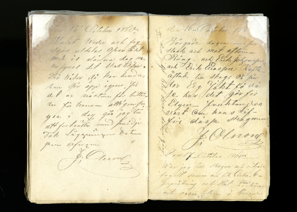 Dagböcker och andra anteckningar förda av storbonden och bössmeden Jonas Olsson (1832-1895) i Fågelsjö, Los mellan åren 1851 och 1892. Dagböckerna berör vardagens arbete, händelser i familjen och byn, förtretligheter, glädjeämnen och sorg. Böckerna förda i varierande frekvens med både dagliga och strödda anteckningar. Hela luckor år 1862-63, 1870-78, 1880-83 samt 1885-56. Dagboken förd i böcker med blandat innehåll, där dagboksanteckningarna är instoppade. Jonas Olssons dagboksanteckningar finns även transkriberade och publicerade i boken "Min hand är icke begåfvad att föra en skikliger penna", 2009.
