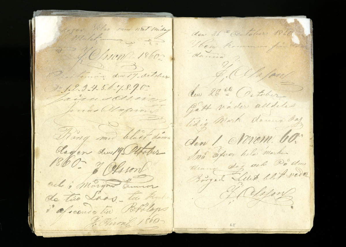 Dagböcker och andra anteckningar förda av storbonden och bössmeden Jonas Olsson (1832-1895) i Fågelsjö, Los mellan åren 1851 och 1892. Dagböckerna berör vardagens arbete, händelser i familjen och byn, förtretligheter, glädjeämnen och sorg. Böckerna förda i varierande frekvens med både dagliga och strödda anteckningar. Hela luckor år 1862-63, 1870-78, 1880-83 samt 1885-56. Dagboken förd i böcker med blandat innehåll, där dagboksanteckningarna är instoppade. Jonas Olssons dagboksanteckningar finns även transkriberade och publicerade i boken "Min hand är icke begåfvad att föra en skikliger penna", 2009.
