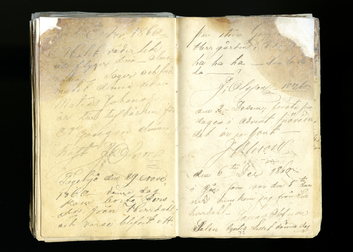 Dagböcker och andra anteckningar förda av storbonden och bössmeden Jonas Olsson (1832-1895) i Fågelsjö, Los mellan åren 1851 och 1892. Dagböckerna berör vardagens arbete, händelser i familjen och byn, förtretligheter, glädjeämnen och sorg. Böckerna förda i varierande frekvens med både dagliga och strödda anteckningar. Hela luckor år 1862-63, 1870-78, 1880-83 samt 1885-56. Dagboken förd i böcker med blandat innehåll, där dagboksanteckningarna är instoppade. Jonas Olssons dagboksanteckningar finns även transkriberade och publicerade i boken "Min hand är icke begåfvad att föra en skikliger penna", 2009.
