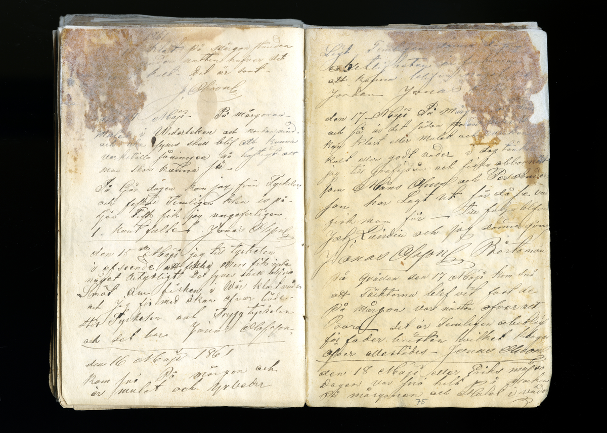 Dagböcker och andra anteckningar förda av storbonden och bössmeden Jonas Olsson (1832-1895) i Fågelsjö, Los mellan åren 1851 och 1892. Dagböckerna berör vardagens arbete, händelser i familjen och byn, förtretligheter, glädjeämnen och sorg. Böckerna förda i varierande frekvens med både dagliga och strödda anteckningar. Hela luckor år 1862-63, 1870-78, 1880-83 samt 1885-56. Dagboken förd i böcker med blandat innehåll, där dagboksanteckningarna är instoppade. Jonas Olssons dagboksanteckningar finns även transkriberade och publicerade i boken "Min hand är icke begåfvad att föra en skikliger penna", 2009.
