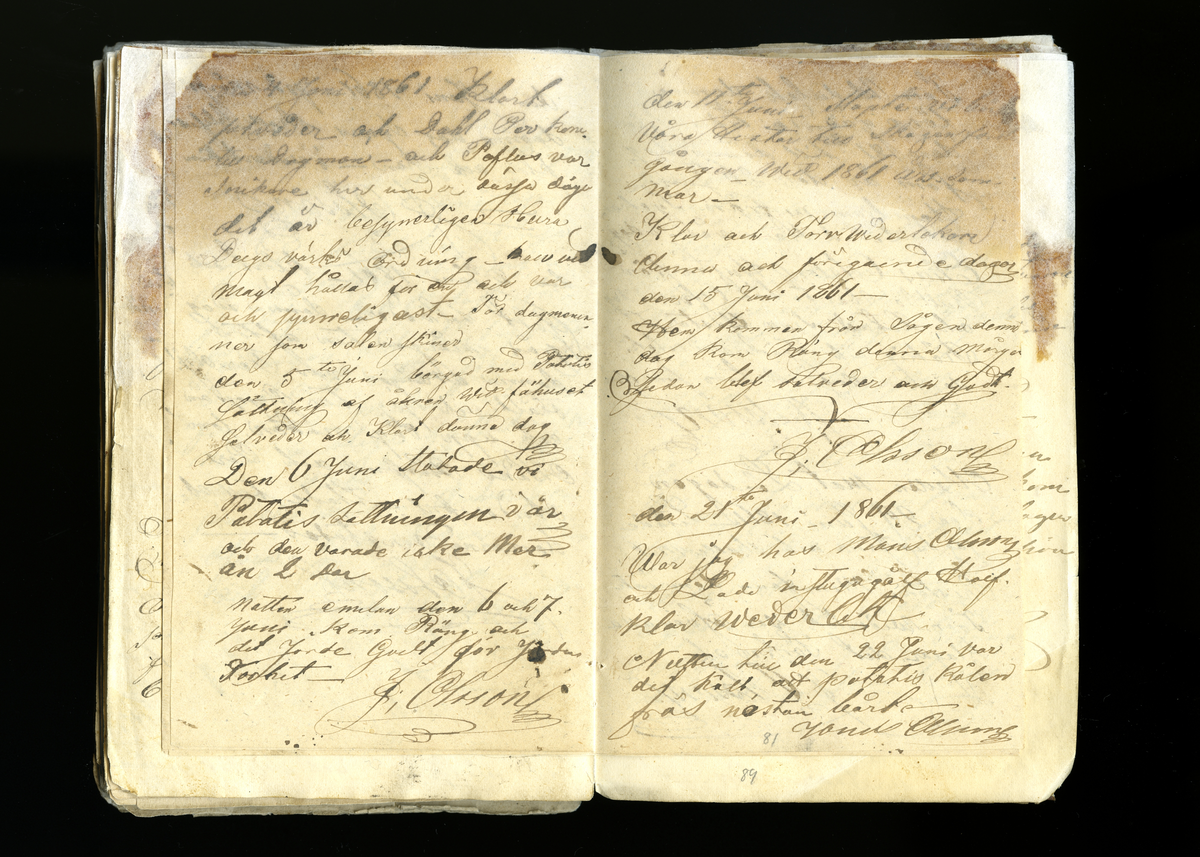 Dagböcker och andra anteckningar förda av storbonden och bössmeden Jonas Olsson (1832-1895) i Fågelsjö, Los mellan åren 1851 och 1892. Dagböckerna berör vardagens arbete, händelser i familjen och byn, förtretligheter, glädjeämnen och sorg. Böckerna förda i varierande frekvens med både dagliga och strödda anteckningar. Hela luckor år 1862-63, 1870-78, 1880-83 samt 1885-56. Dagboken förd i böcker med blandat innehåll, där dagboksanteckningarna är instoppade. Jonas Olssons dagboksanteckningar finns även transkriberade och publicerade i boken "Min hand är icke begåfvad att föra en skikliger penna", 2009.
