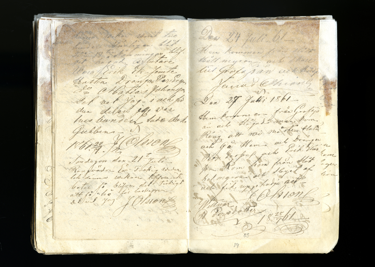 Dagböcker och andra anteckningar förda av storbonden och bössmeden Jonas Olsson (1832-1895) i Fågelsjö, Los mellan åren 1851 och 1892. Dagböckerna berör vardagens arbete, händelser i familjen och byn, förtretligheter, glädjeämnen och sorg. Böckerna förda i varierande frekvens med både dagliga och strödda anteckningar. Hela luckor år 1862-63, 1870-78, 1880-83 samt 1885-56. Dagboken förd i böcker med blandat innehåll, där dagboksanteckningarna är instoppade. Jonas Olssons dagboksanteckningar finns även transkriberade och publicerade i boken "Min hand är icke begåfvad att föra en skikliger penna", 2009.
