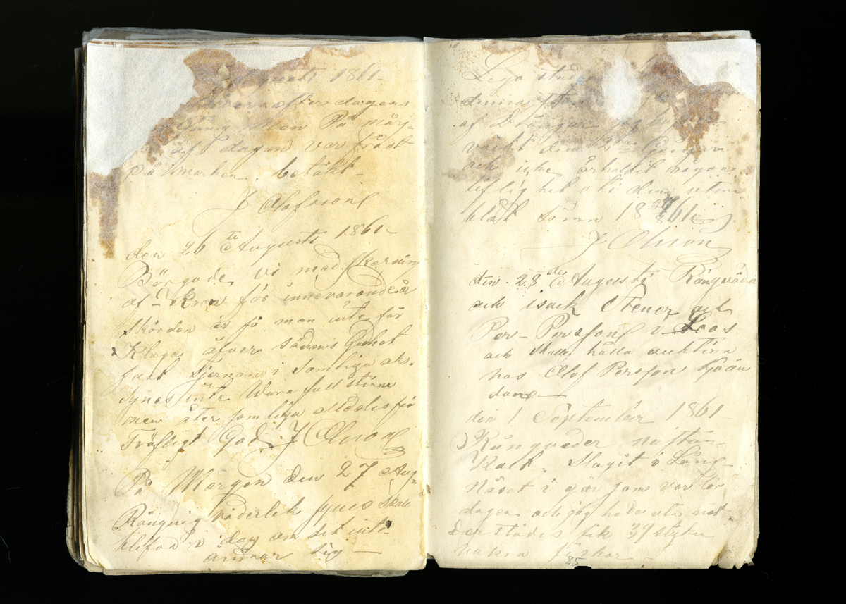 Dagböcker och andra anteckningar förda av storbonden och bössmeden Jonas Olsson (1832-1895) i Fågelsjö, Los mellan åren 1851 och 1892. Dagböckerna berör vardagens arbete, händelser i familjen och byn, förtretligheter, glädjeämnen och sorg. Böckerna förda i varierande frekvens med både dagliga och strödda anteckningar. Hela luckor år 1862-63, 1870-78, 1880-83 samt 1885-56. Dagboken förd i böcker med blandat innehåll, där dagboksanteckningarna är instoppade. Jonas Olssons dagboksanteckningar finns även transkriberade och publicerade i boken "Min hand är icke begåfvad att föra en skikliger penna", 2009.
