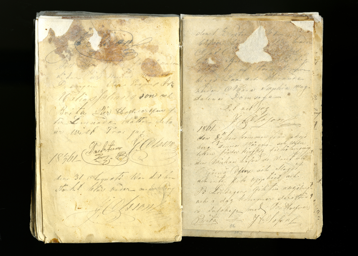 Dagböcker och andra anteckningar förda av storbonden och bössmeden Jonas Olsson (1832-1895) i Fågelsjö, Los mellan åren 1851 och 1892. Dagböckerna berör vardagens arbete, händelser i familjen och byn, förtretligheter, glädjeämnen och sorg. Böckerna förda i varierande frekvens med både dagliga och strödda anteckningar. Hela luckor år 1862-63, 1870-78, 1880-83 samt 1885-56. Dagboken förd i böcker med blandat innehåll, där dagboksanteckningarna är instoppade. Jonas Olssons dagboksanteckningar finns även transkriberade och publicerade i boken "Min hand är icke begåfvad att föra en skikliger penna", 2009.
