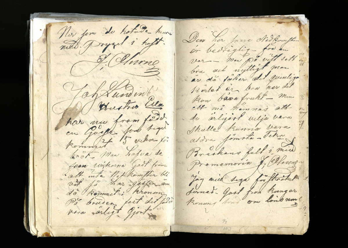 Dagböcker och andra anteckningar förda av storbonden och bössmeden Jonas Olsson (1832-1895) i Fågelsjö, Los mellan åren 1851 och 1892. Dagböckerna berör vardagens arbete, händelser i familjen och byn, förtretligheter, glädjeämnen och sorg. Böckerna förda i varierande frekvens med både dagliga och strödda anteckningar. Hela luckor år 1862-63, 1870-78, 1880-83 samt 1885-56. Dagboken förd i böcker med blandat innehåll, där dagboksanteckningarna är instoppade. Jonas Olssons dagboksanteckningar finns även transkriberade och publicerade i boken "Min hand är icke begåfvad att föra en skikliger penna", 2009.
