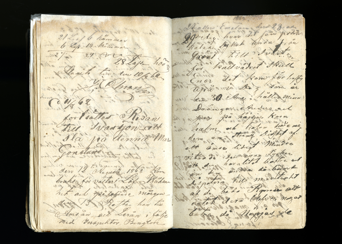 Dagböcker och andra anteckningar förda av storbonden och bössmeden Jonas Olsson (1832-1895) i Fågelsjö, Los mellan åren 1851 och 1892. Dagböckerna berör vardagens arbete, händelser i familjen och byn, förtretligheter, glädjeämnen och sorg. Böckerna förda i varierande frekvens med både dagliga och strödda anteckningar. Hela luckor år 1862-63, 1870-78, 1880-83 samt 1885-56. Dagboken förd i böcker med blandat innehåll, där dagboksanteckningarna är instoppade. Jonas Olssons dagboksanteckningar finns även transkriberade och publicerade i boken "Min hand är icke begåfvad att föra en skikliger penna", 2009.
