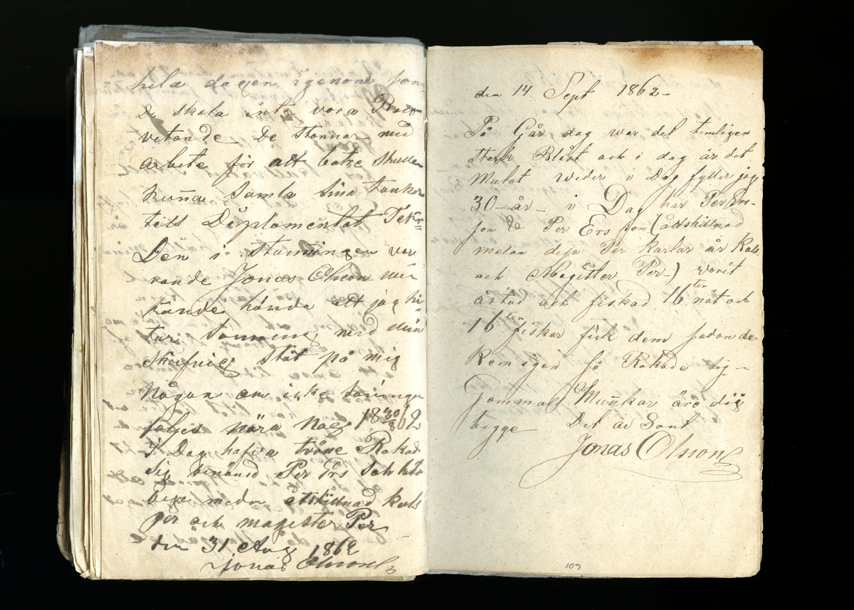 Dagböcker och andra anteckningar förda av storbonden och bössmeden Jonas Olsson (1832-1895) i Fågelsjö, Los mellan åren 1851 och 1892. Dagböckerna berör vardagens arbete, händelser i familjen och byn, förtretligheter, glädjeämnen och sorg. Böckerna förda i varierande frekvens med både dagliga och strödda anteckningar. Hela luckor år 1862-63, 1870-78, 1880-83 samt 1885-56. Dagboken förd i böcker med blandat innehåll, där dagboksanteckningarna är instoppade. Jonas Olssons dagboksanteckningar finns även transkriberade och publicerade i boken "Min hand är icke begåfvad att föra en skikliger penna", 2009.

