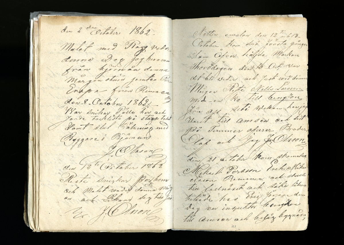 Dagböcker och andra anteckningar förda av storbonden och bössmeden Jonas Olsson (1832-1895) i Fågelsjö, Los mellan åren 1851 och 1892. Dagböckerna berör vardagens arbete, händelser i familjen och byn, förtretligheter, glädjeämnen och sorg. Böckerna förda i varierande frekvens med både dagliga och strödda anteckningar. Hela luckor år 1862-63, 1870-78, 1880-83 samt 1885-56. Dagboken förd i böcker med blandat innehåll, där dagboksanteckningarna är instoppade. Jonas Olssons dagboksanteckningar finns även transkriberade och publicerade i boken "Min hand är icke begåfvad att föra en skikliger penna", 2009.
