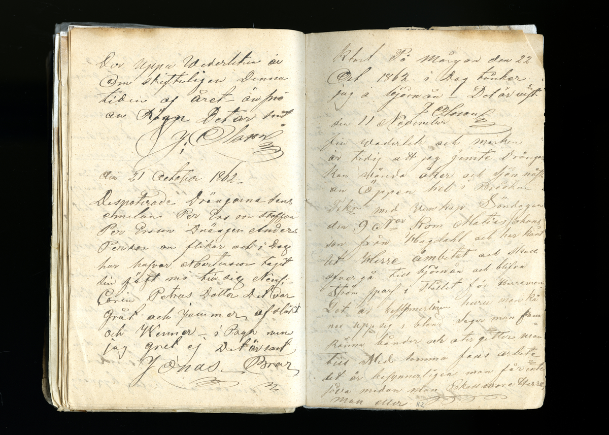 Dagböcker och andra anteckningar förda av storbonden och bössmeden Jonas Olsson (1832-1895) i Fågelsjö, Los mellan åren 1851 och 1892. Dagböckerna berör vardagens arbete, händelser i familjen och byn, förtretligheter, glädjeämnen och sorg. Böckerna förda i varierande frekvens med både dagliga och strödda anteckningar. Hela luckor år 1862-63, 1870-78, 1880-83 samt 1885-56. Dagboken förd i böcker med blandat innehåll, där dagboksanteckningarna är instoppade. Jonas Olssons dagboksanteckningar finns även transkriberade och publicerade i boken "Min hand är icke begåfvad att föra en skikliger penna", 2009.
