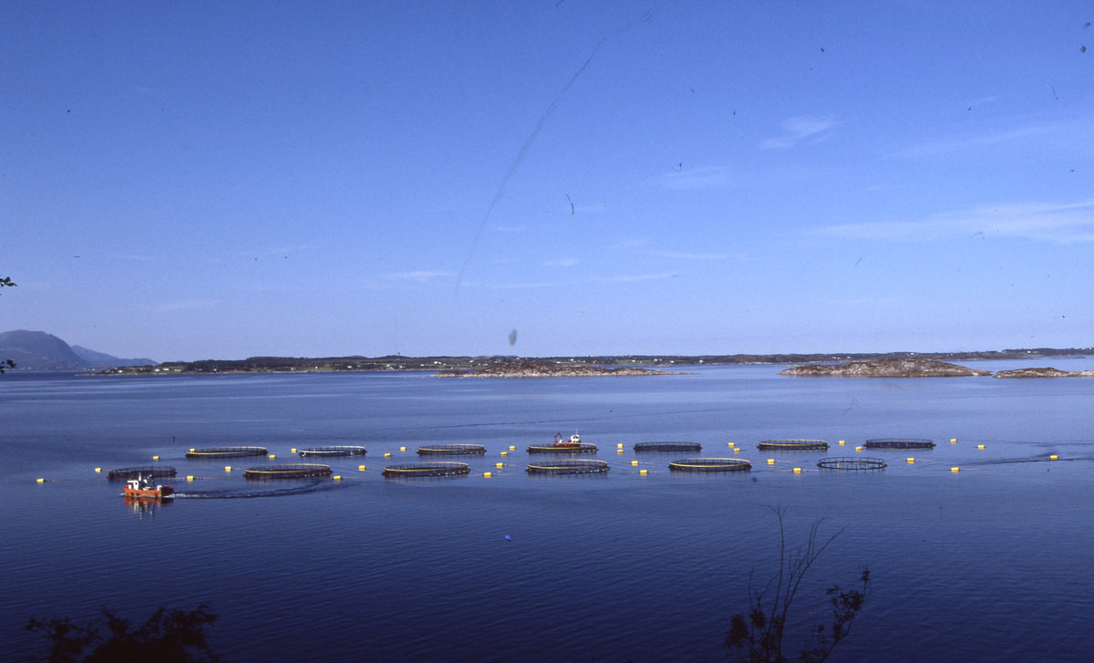 Utsikt mot oppdrettsanlegg