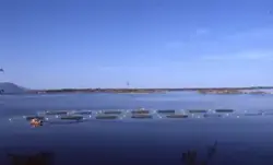 Utsikt mot oppdrettsanlegg