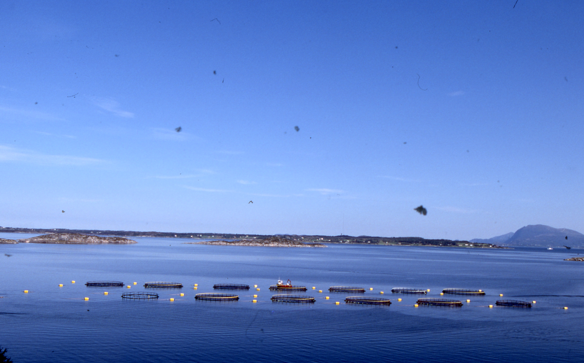 Utsikt mot oppdrettsanlegg