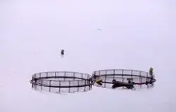 Røkter i båt ved sirkelmerder