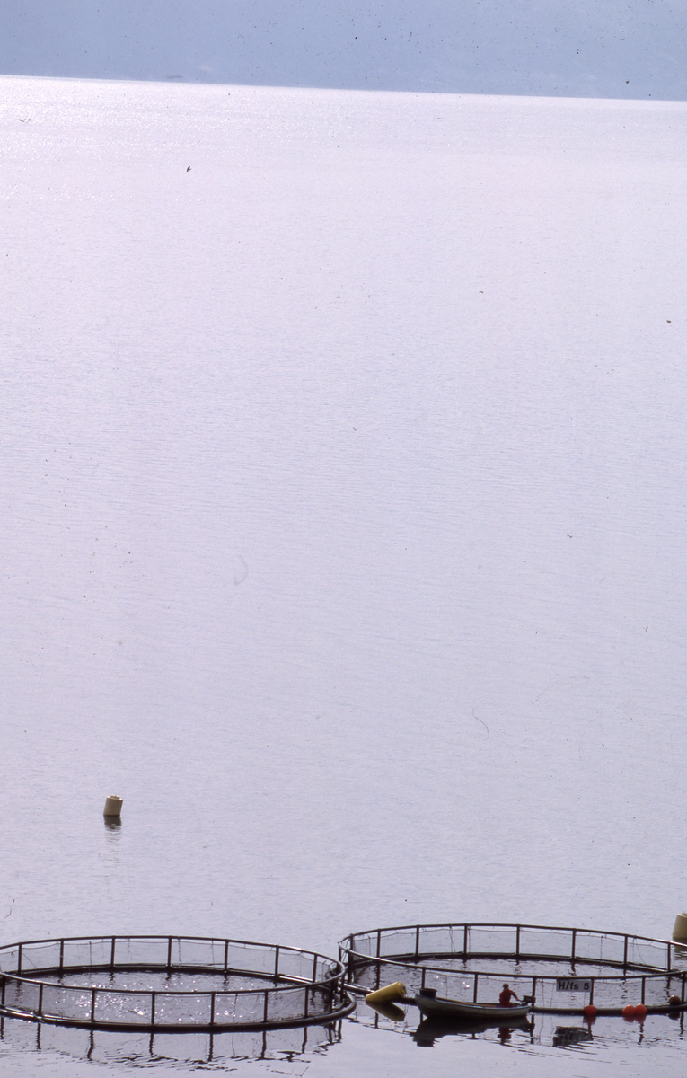 Røkter i båt ved sirkelmerder