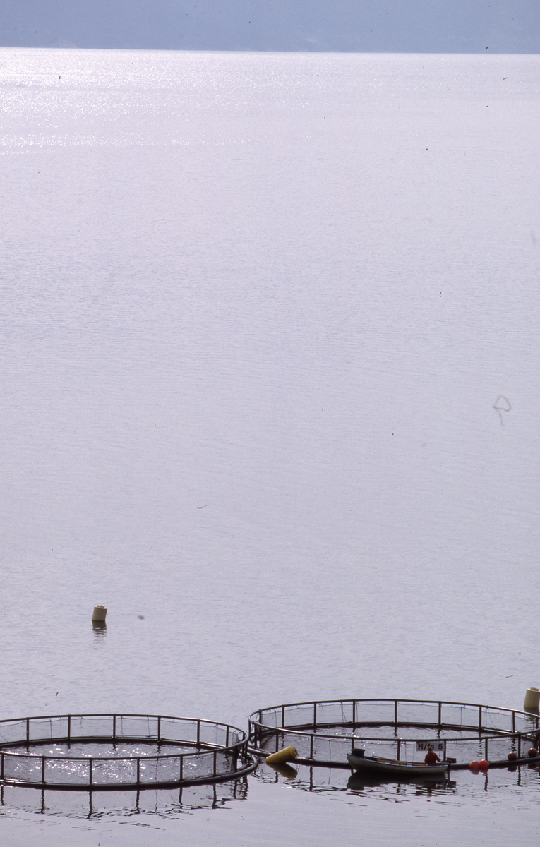 Røkter i båt ved sirkelmerder