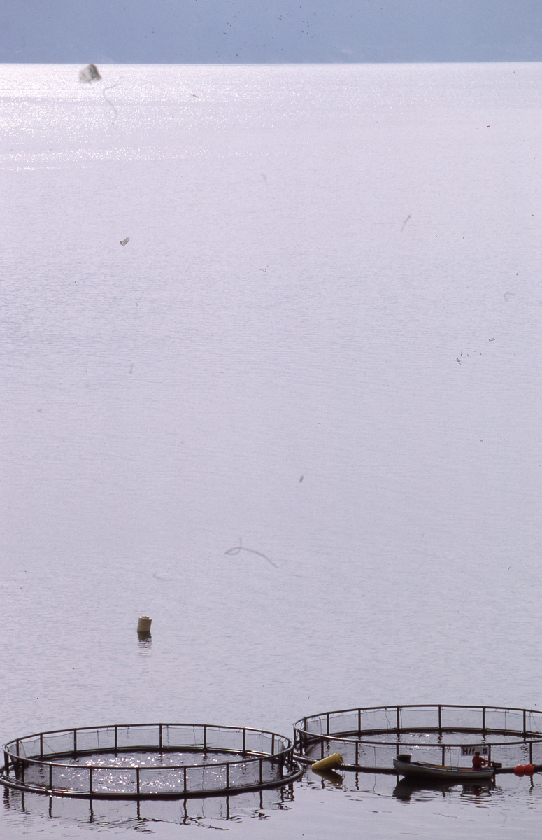 Røkter i båt ved sirkelmerder