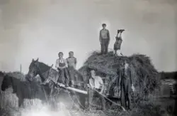 Slåttonn på Dyri i Løten på slutten av 1930-tallet. Foran hø