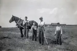 Slåttonn på Dyri i Løten på slutten av 1930-tallet. Fra Synn