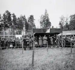 Norges første Europamesterskap i orientering ble arrangert i