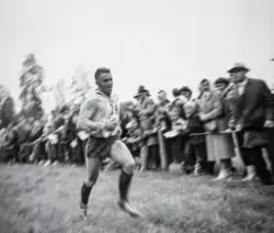 Norges første Europamesterskap i orientering ble arrangert i