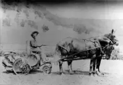 En mann med hatt sitter på et hesteredskap og holder tømmene