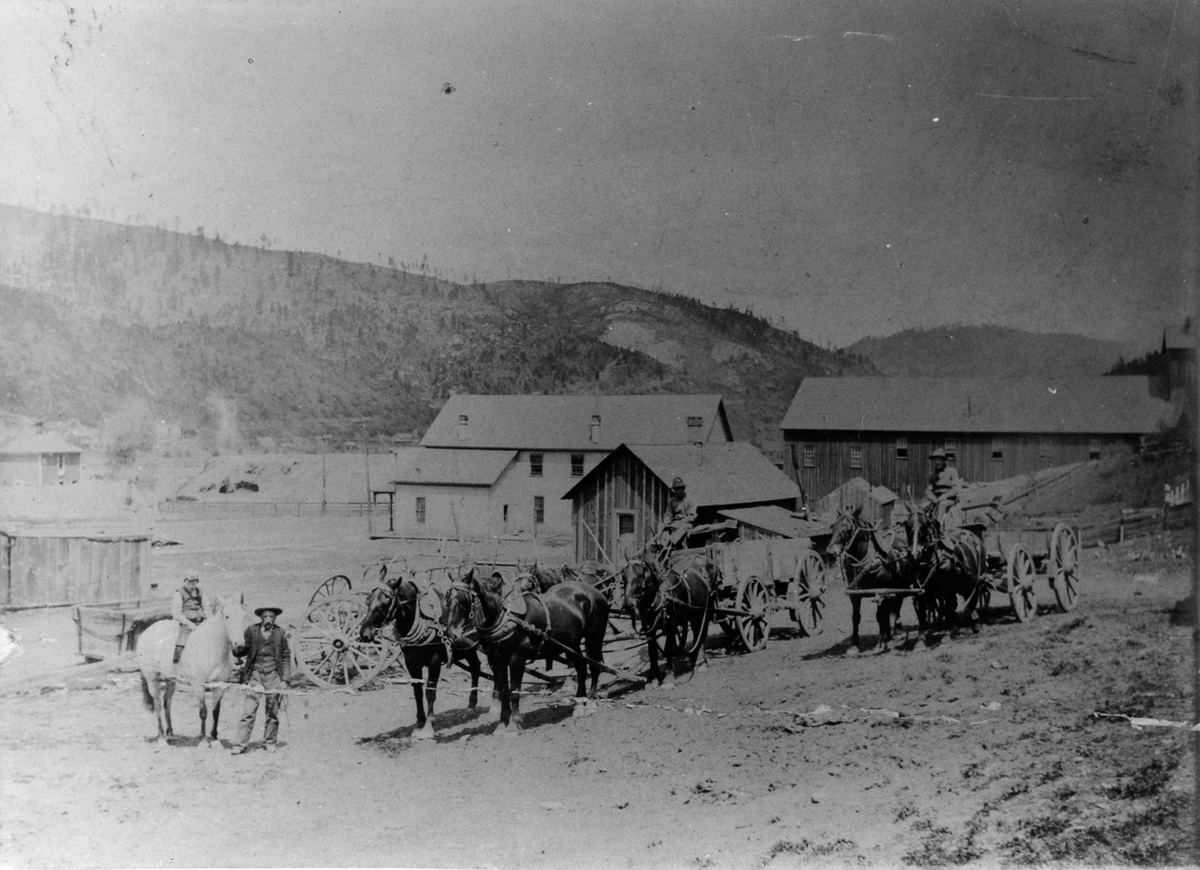 En gård med lys, to-etasjes hovedbygning, stor låve og flere uthus. I forgrunn to vogner med tilsammen fem hester foran. Til venstre en mann som leier en hest med et barn på. I bakgrunn en åsrygg med spredte trær. 