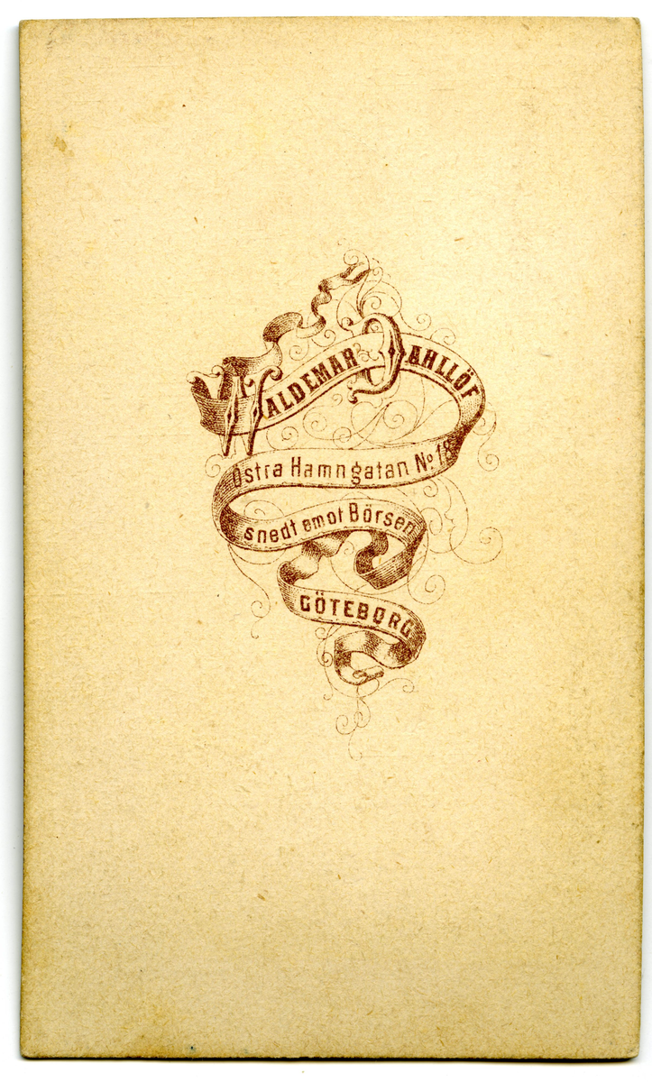 Porträtt på en man.