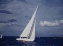 Regatta för sexor i Geneve