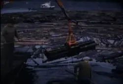 Löstimmerhantering i Risör