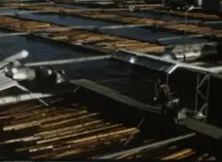 Löstimmer från skilje till buntning med båt bland virke