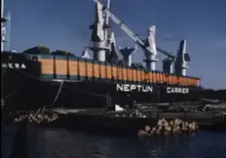 Timmermosorna lastas på HERA