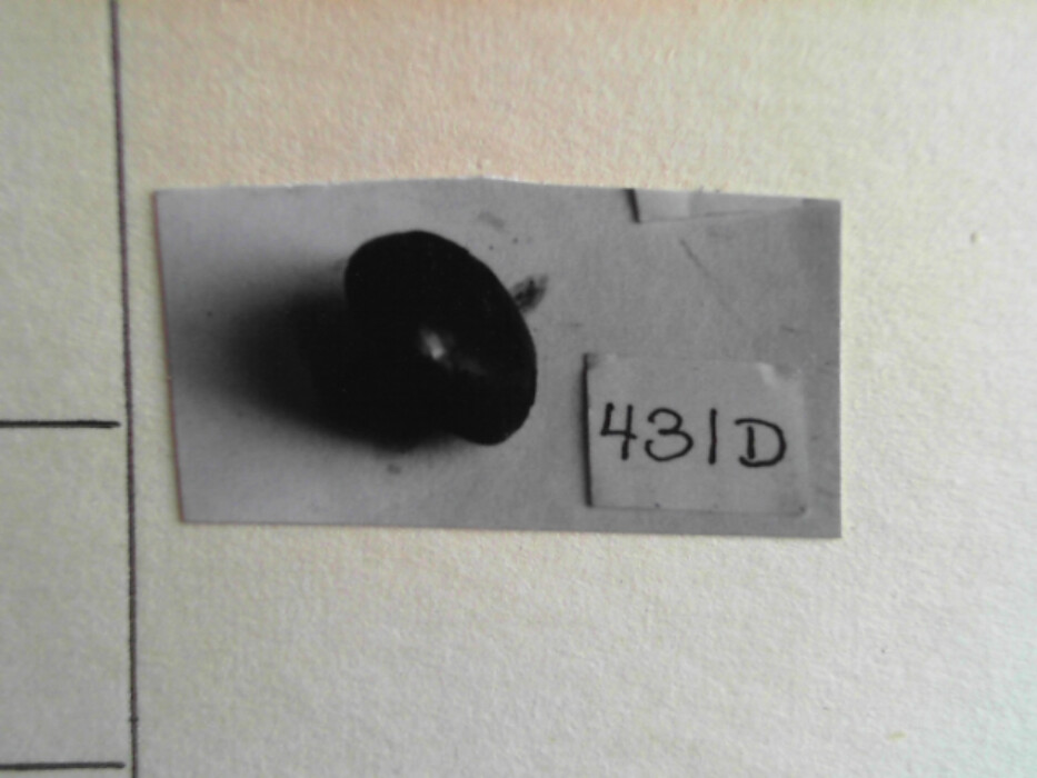 treskrin med lokk. inneholdende 13 ? knapper og et garnnøste. :: 431Q - knapp :: 431I - knapp :: 431K - knapp :: 431 L - knapp