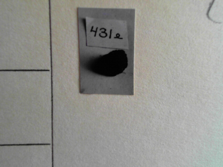 treskrin med lokk. inneholdende 13 ? knapper og et garnnøste. :: 431Q - knapp :: 431I - knapp :: 431K - knapp :: 431 L - knapp