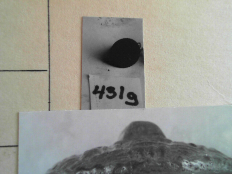 treskrin med lokk. inneholdende 13 ? knapper og et garnnøste. :: 431Q - knapp :: 431I - knapp :: 431K - knapp :: 431 L - knapp