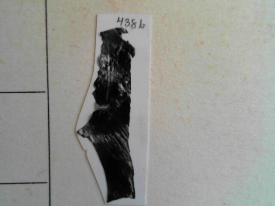 større samling lærfragmenter tildels med sømspor. muligens biter av drakt.