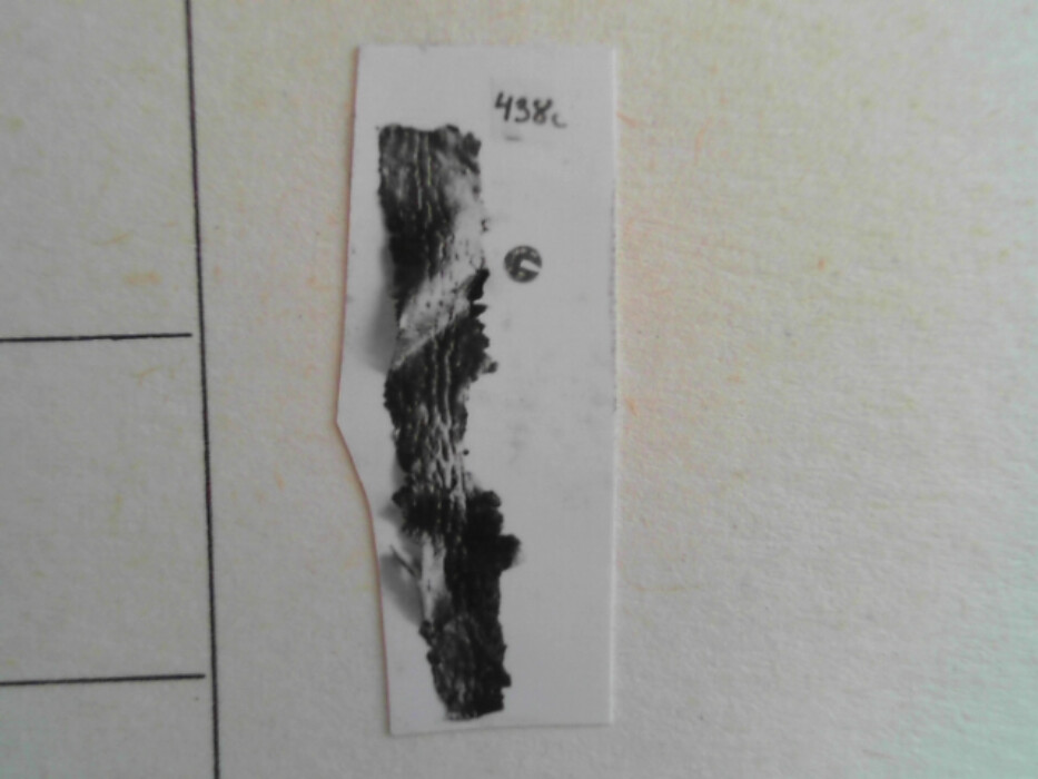 større samling lærfragmenter tildels med sømspor. muligens biter av drakt.