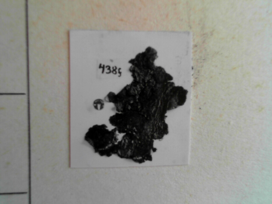 større samling lærfragmenter tildels med sømspor. muligens biter av drakt.