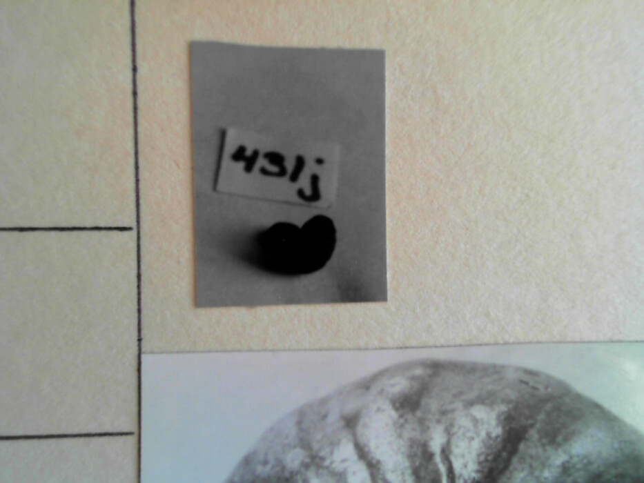 treskrin med lokk. inneholdende 13 ? knapper og et garnnøste. :: 431Q - knapp :: 431I - knapp :: 431K - knapp :: 431 L - knapp