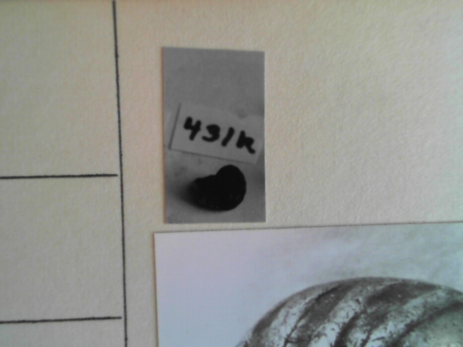 treskrin med lokk. inneholdende 13 ? knapper og et garnnøste. :: 431Q - knapp :: 431I - knapp :: 431K - knapp :: 431 L - knapp