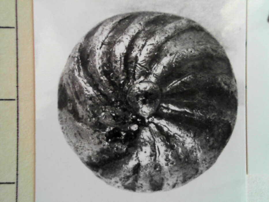 treskrin med lokk. inneholdende 13 ? knapper og et garnnøste. :: 431Q - knapp :: 431I - knapp :: 431K - knapp :: 431 L - knapp