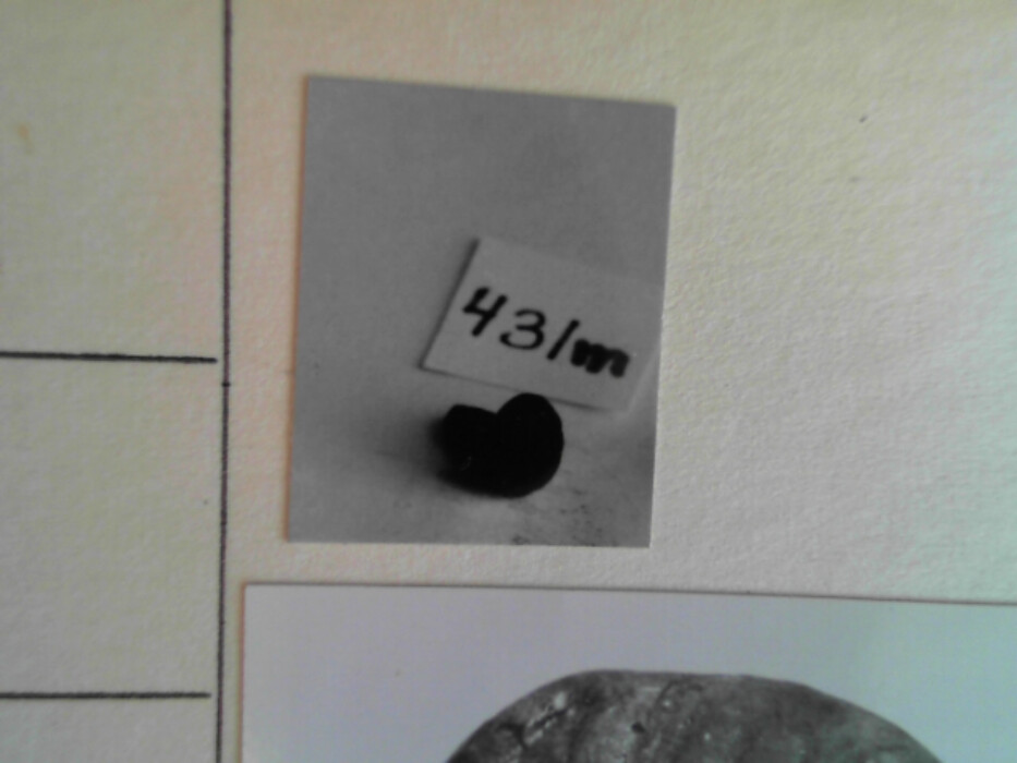 treskrin med lokk. inneholdende 13 ? knapper og et garnnøste. :: 431Q - knapp :: 431I - knapp :: 431K - knapp :: 431 L - knapp